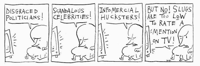 Mortimer The Irrevelance of Slugs 2