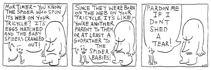 Tricycle and the spider 7