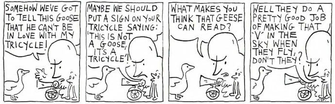 Tricycle and the goose 7